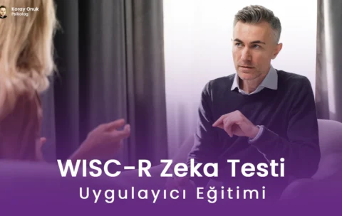 wiscr-zeka-testi